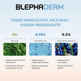 BLEPHADERM Eyelid Cream